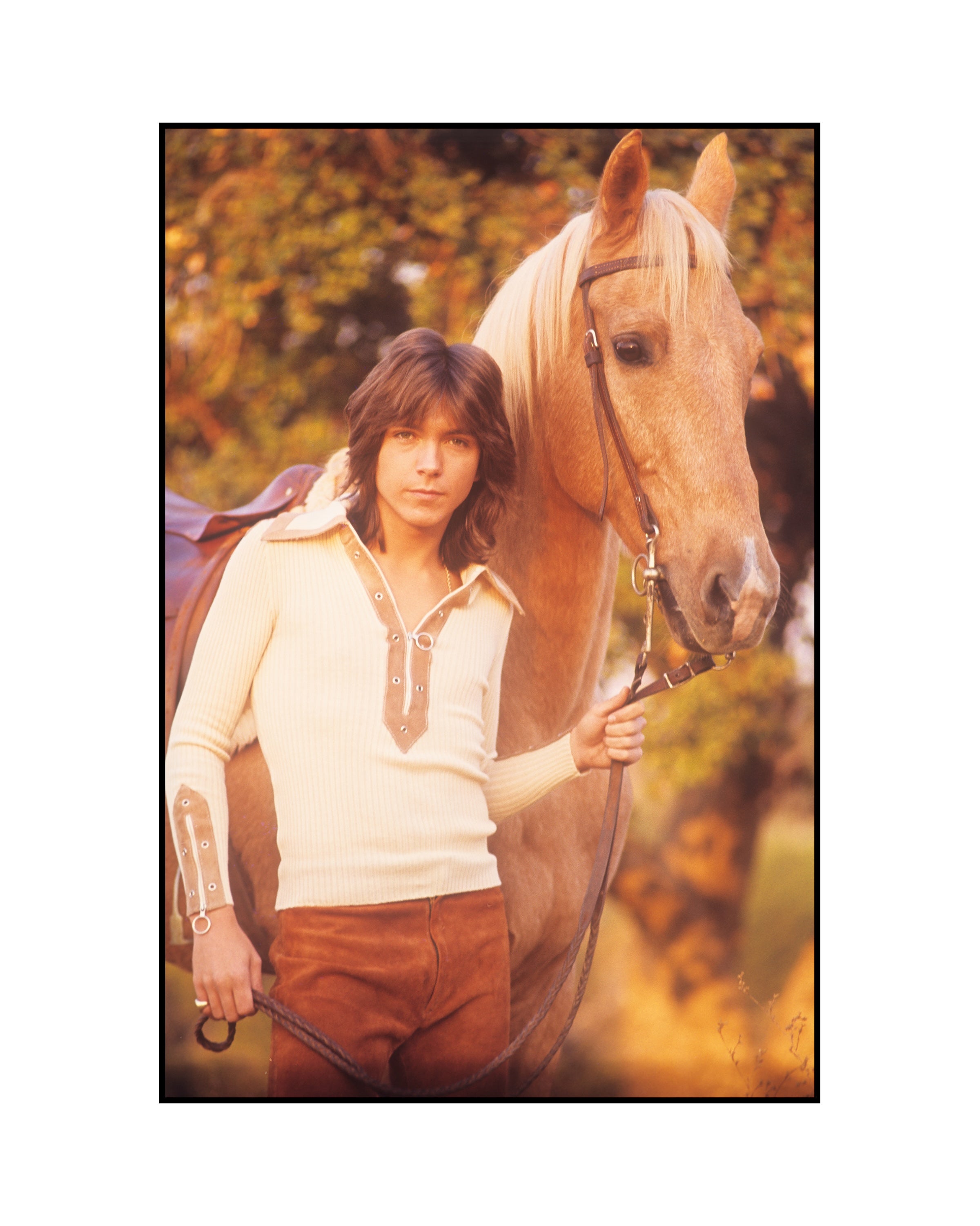 David Cassidy & Horse – Henry Diltz Photography