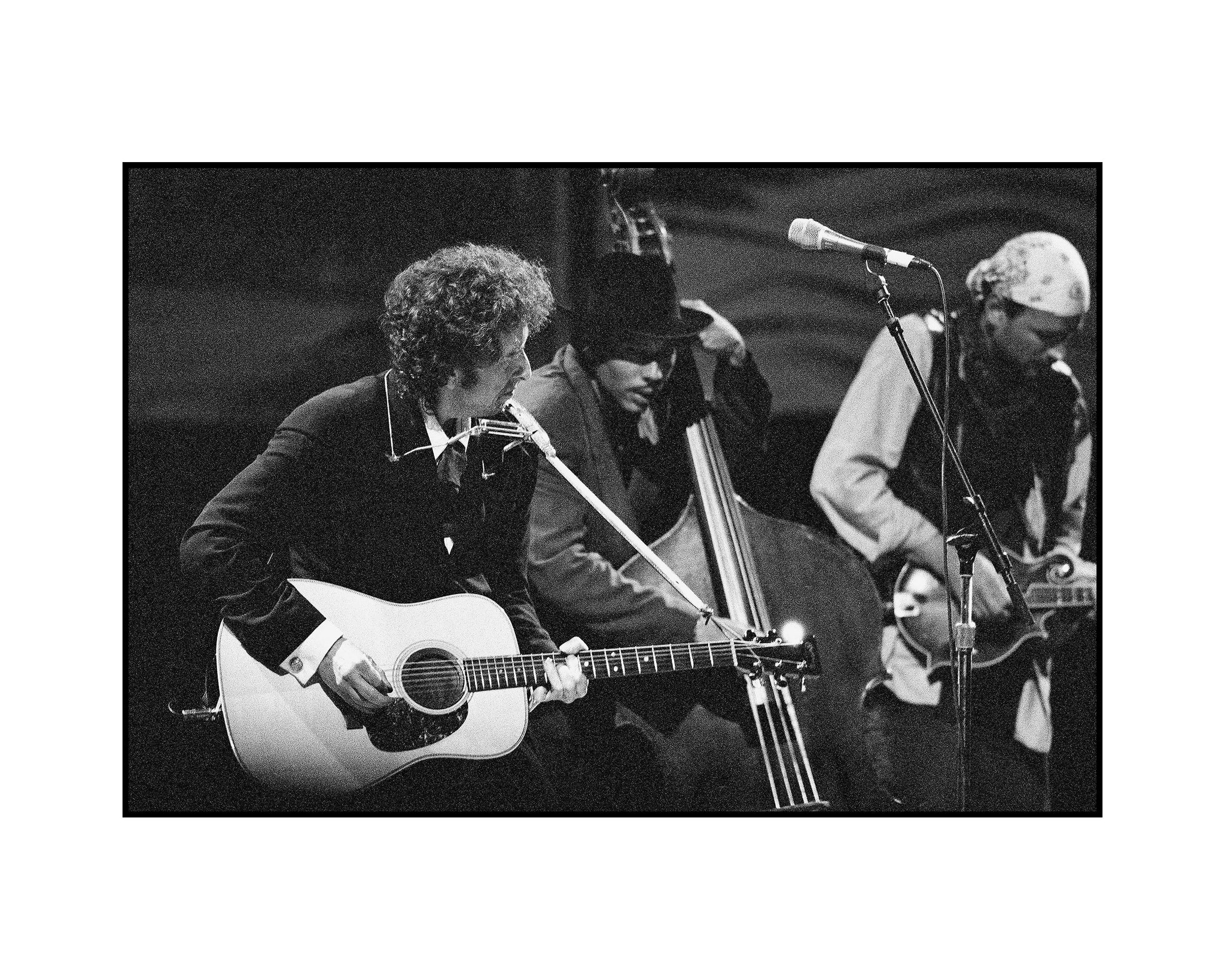 WoodStock_1994_BobDylan_8x10_a