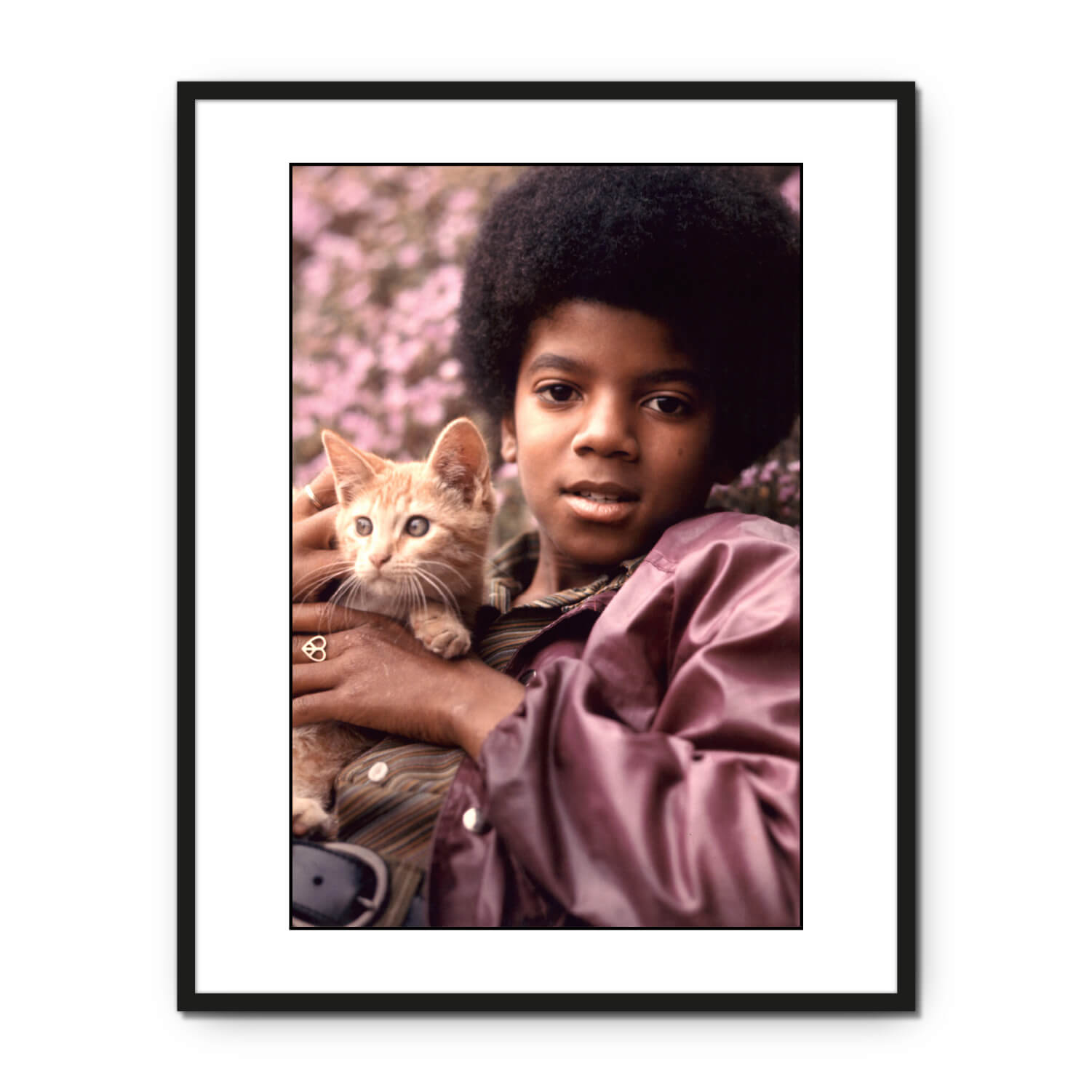 Michael Jackson, CA, 1971 – Henry Diltz Photography